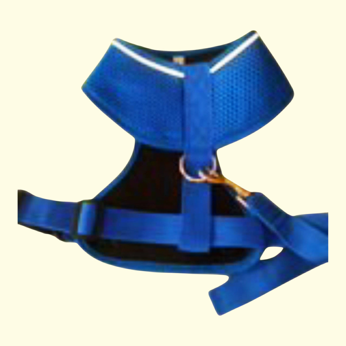 Arnés Chaleco Top Can