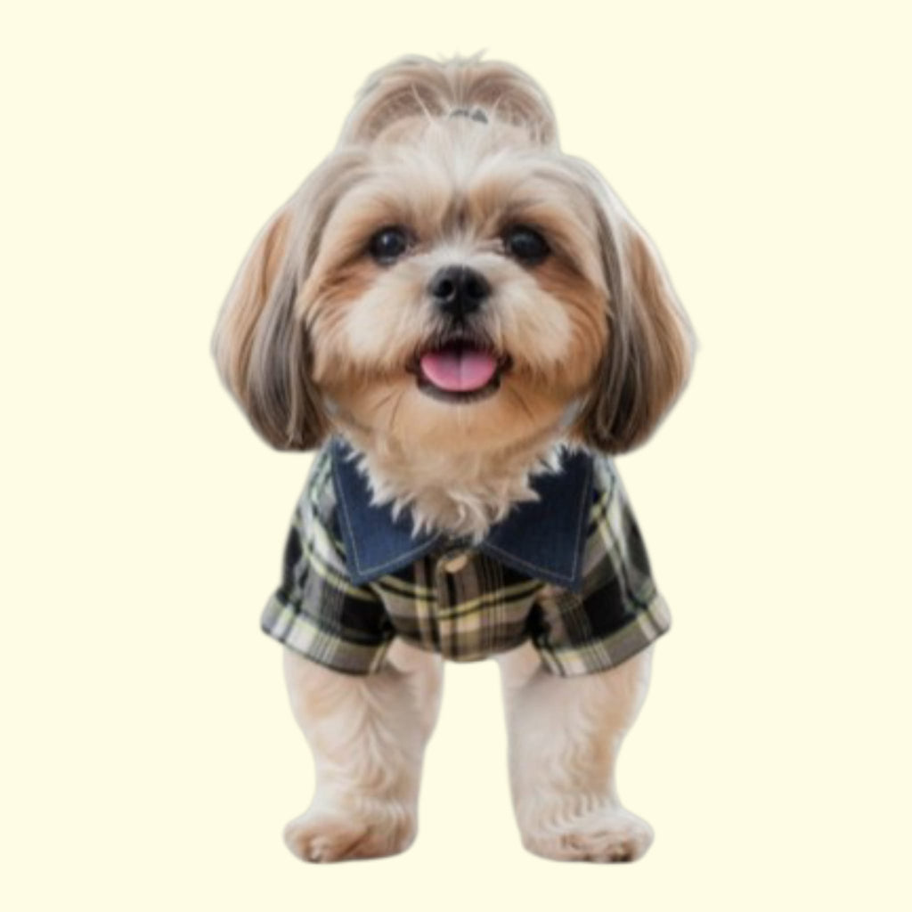 Camisa de Tela Jeans para mascotas