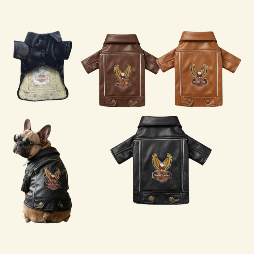 Casaca de cuerina Harley Dog