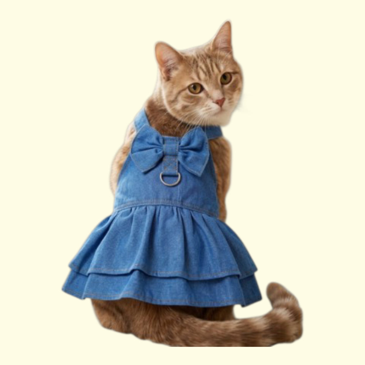 Vestido Jumper media Luna