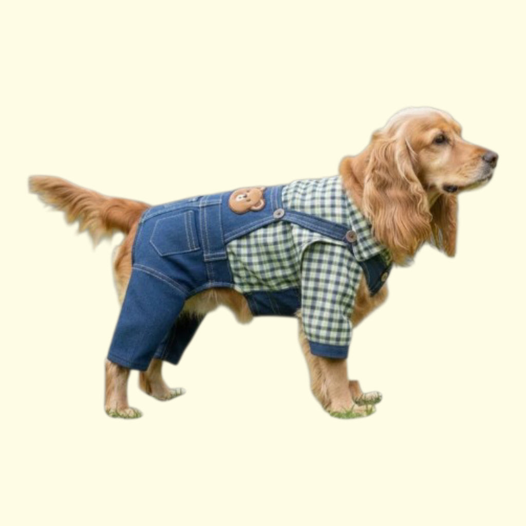 Mono (Overol) Jeans con camisa