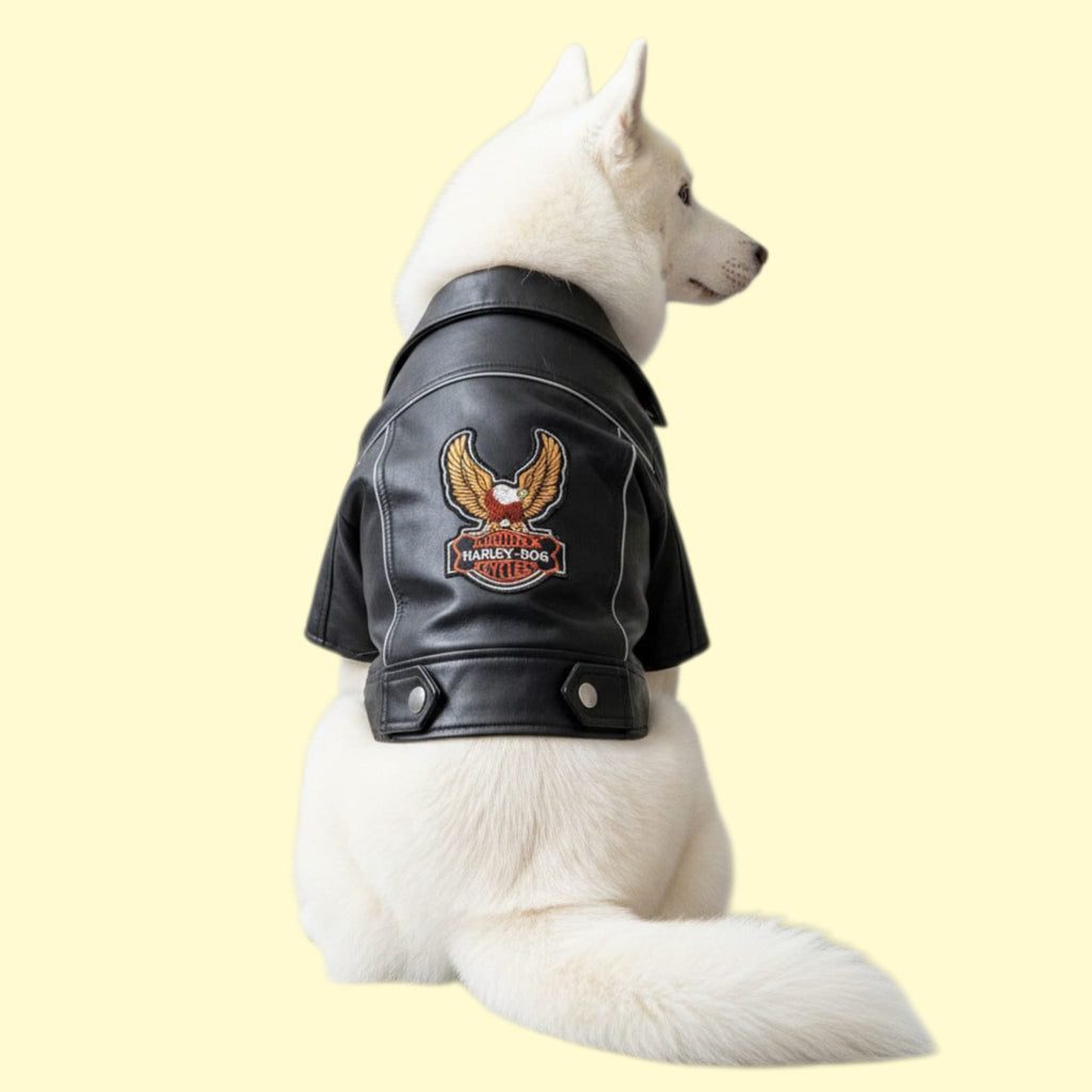Casaca de cuerina Harley Dog