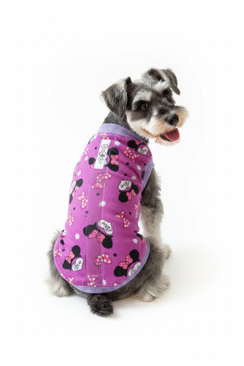 Schnauzer de espaldas faja lila Minnie velcro real